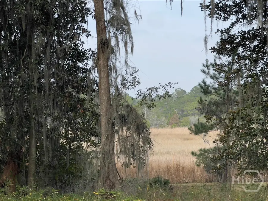 121 Salt Creek Road, Savannah, GA 31405 - Image #3