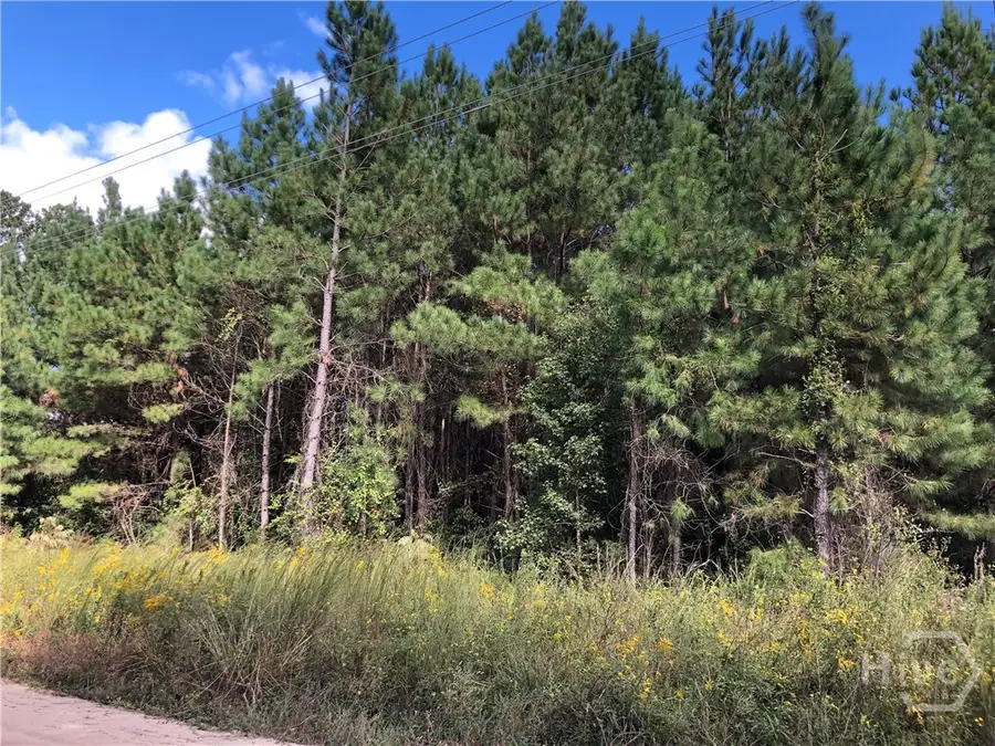 0 Bell Road, Brooklet, GA 30415 - Image #2