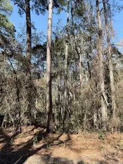 28 Deer Trail Lane, Midway, GA 31320 - #1