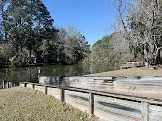 28 Deer Trail Lane, Midway, GA 31320 - #3