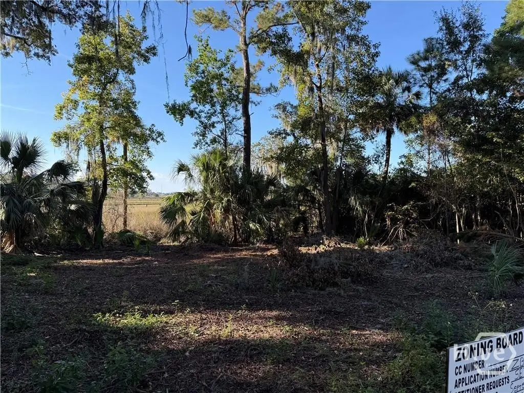 209 Battery Way, Savannah, GA 31410 - Image #1