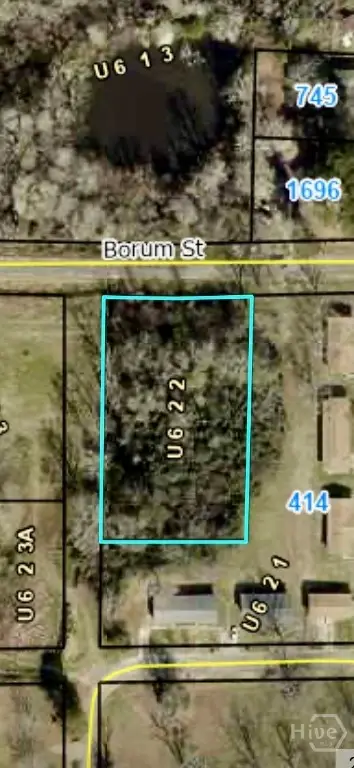 0 Borum, Unadilla, GA 31091 - Image #2