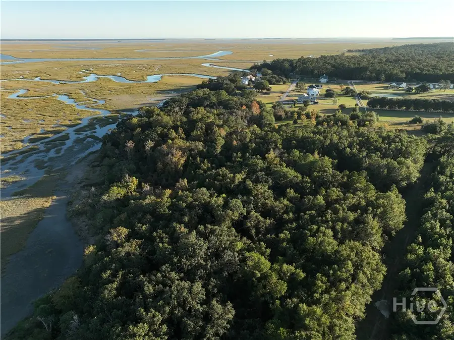 0 Deloach Road, Midway, GA 31320 - Image #3