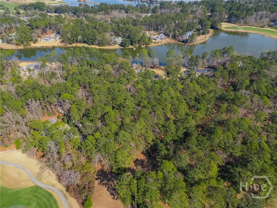 388 Belted Kingfisher Lane, Richmond Hill, GA 31324 - #3