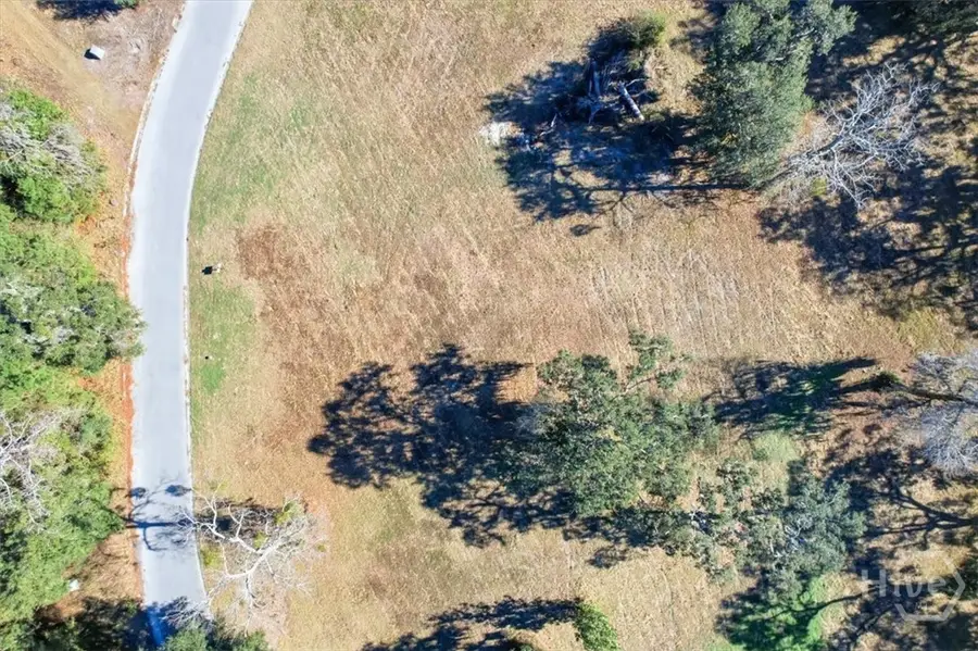 LOT 25 Bermuda Bluff Lane, Midway, GA 31320 - Image #2