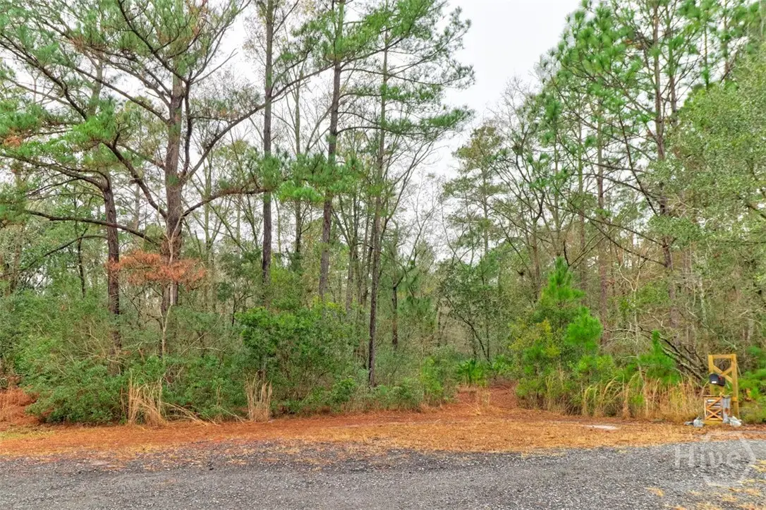 109 Unique Drive, Guyton, GA 31312 - #1