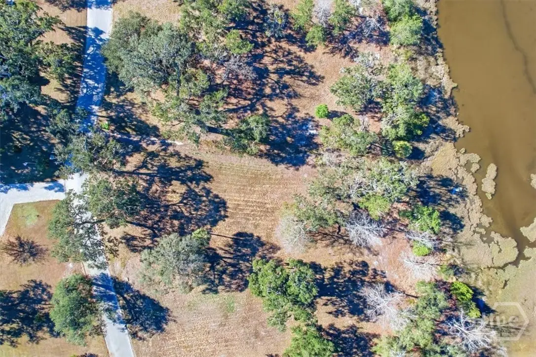 LOT 3 Bermuda Bluff Lane, Midway, GA 31320 - #1