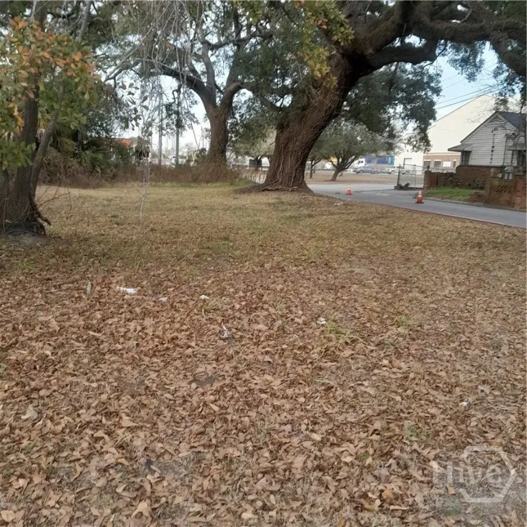 Address Withheld By Seller, Savannah, GA 31415 - #2