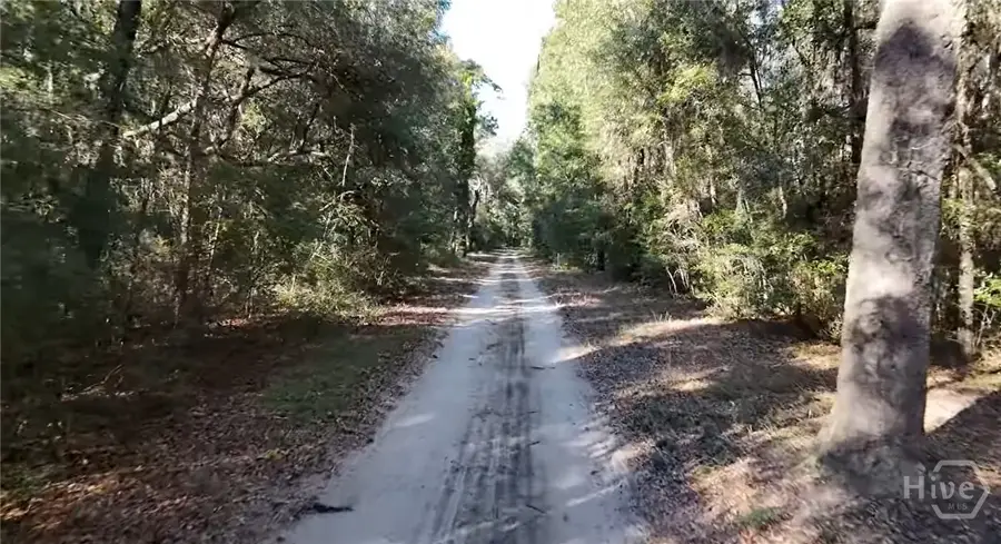 0 NE Johnson Road, Townsend, GA 31331 - #2