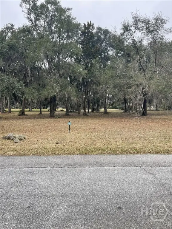 Lot 16/17 Marshview Drive Ne, Townsend, GA 31331 - #3