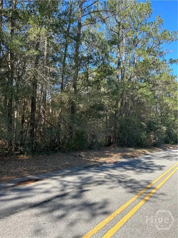 Lot 4 Palm Island Drive, Midway, GA 31320 - #1