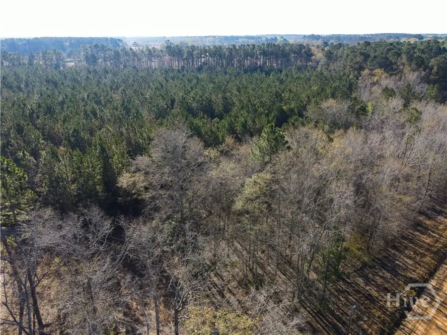 0 Clifton Road, Statesboro, GA 30458 - #2