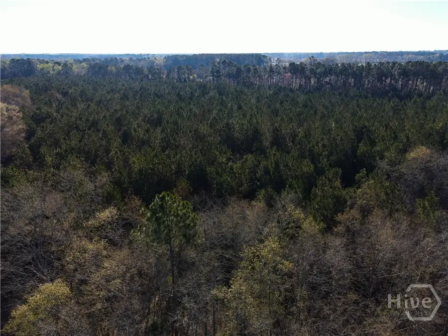 0 Clifton Road, Statesboro, GA 30458 - #3