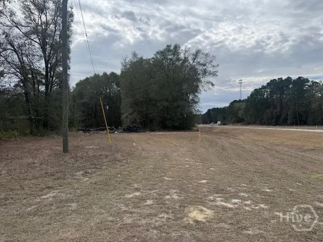 287 Wallace Drive, Springfield, GA 31329 - #2