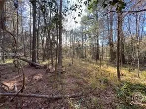 4637 Wire Road, Summerville, SC 29485 - #1