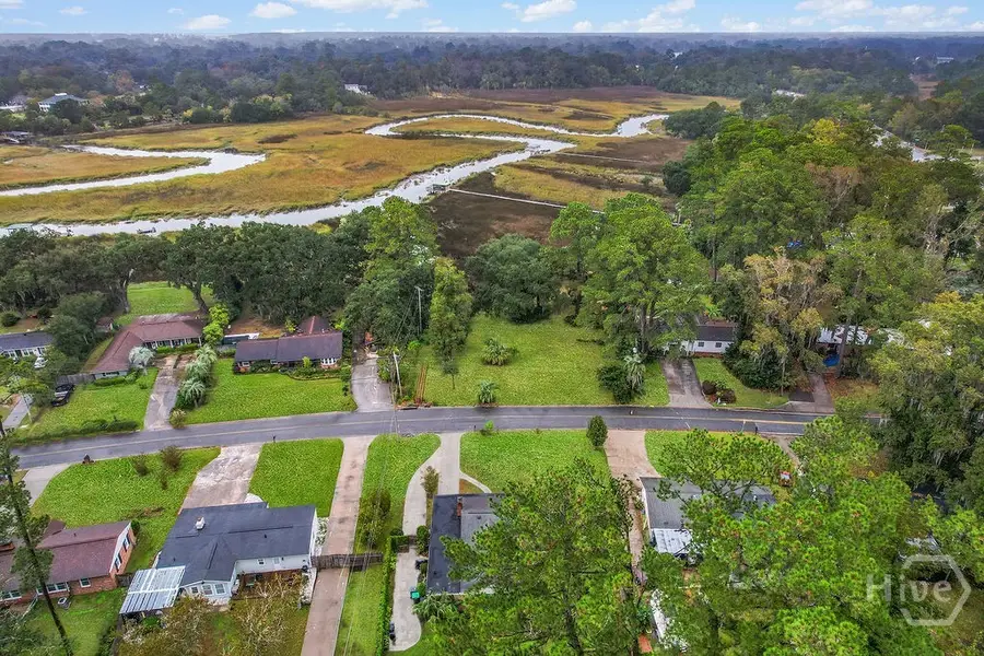 1345 Lavon Avenue, Savannah, GA 31406 - #2