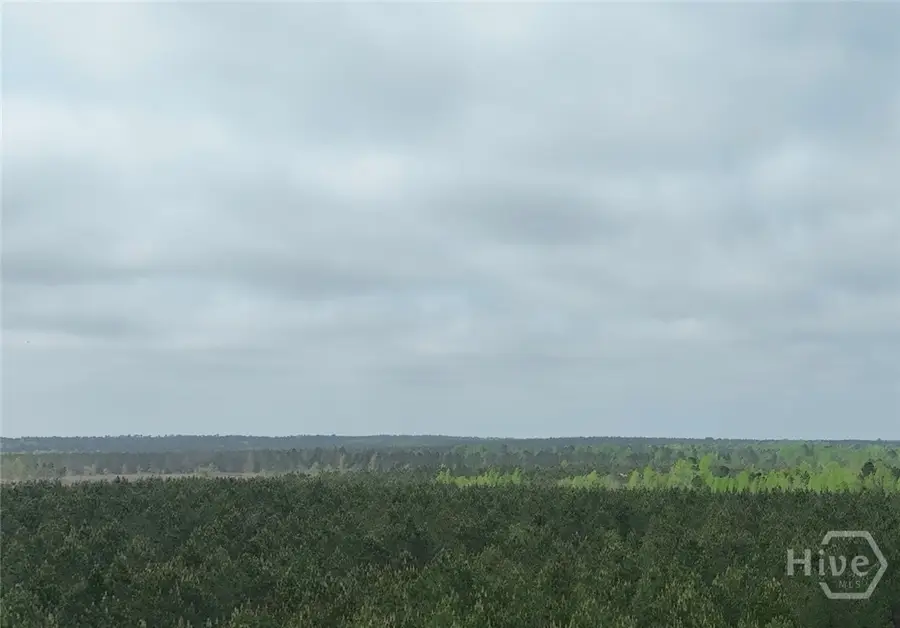 02 Saint Galilee Road, Summertown, GA 30401 - #3