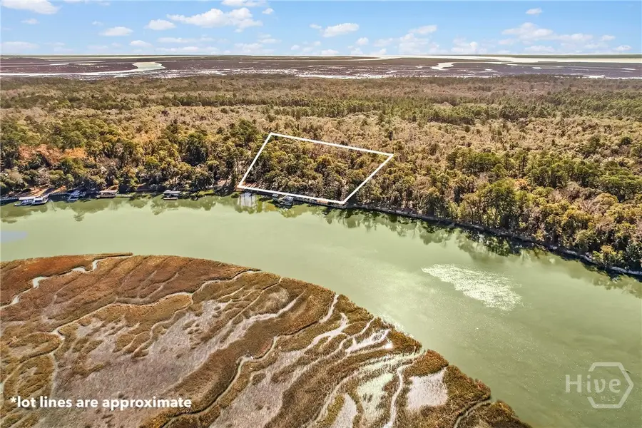 1775 Delegal Road, Townsend, GA 31331 - #2