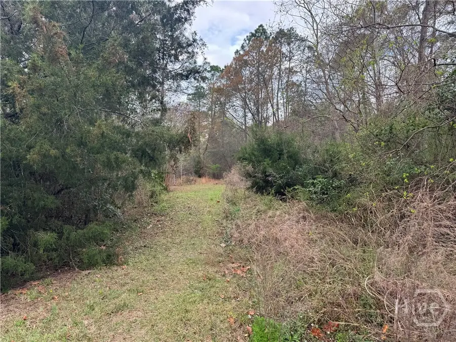 227 Raymond Street, Statesboro, GA 30458 - #2