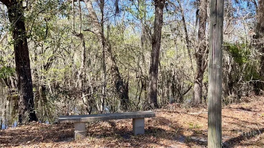 265 Big Cypress Drive, Bloomingdale, GA 31302 - #3