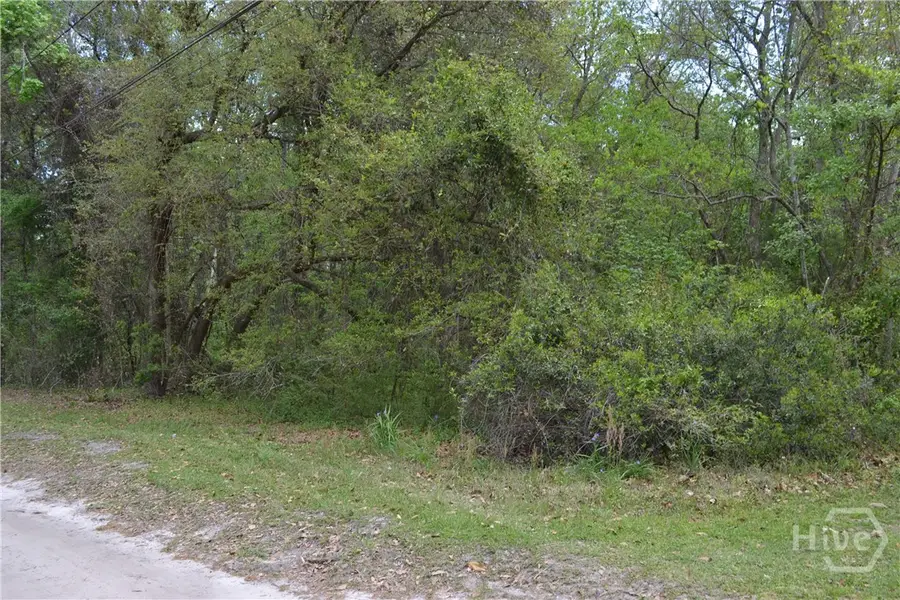 0 S Hickory Street, Bloomingdale, GA 31302 - #2