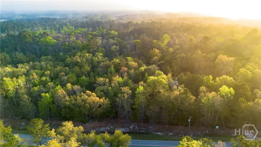 4 Little Mccall Road, Rincon, GA 31326 - #3