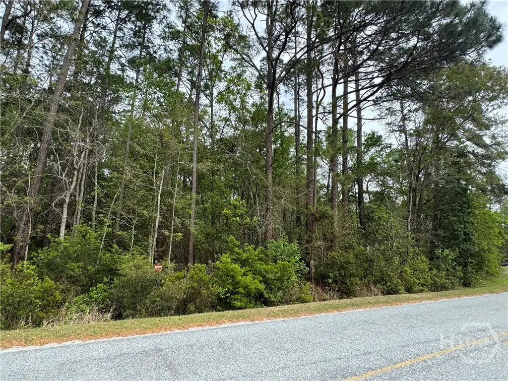 0 (LOT A) Oak Street, Rincon, GA 31326 - #1