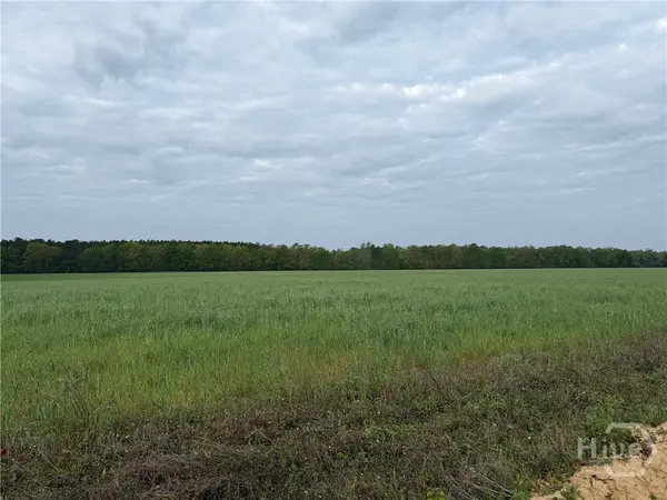 01 Springfield Egypt Road, Springfield, GA 31329