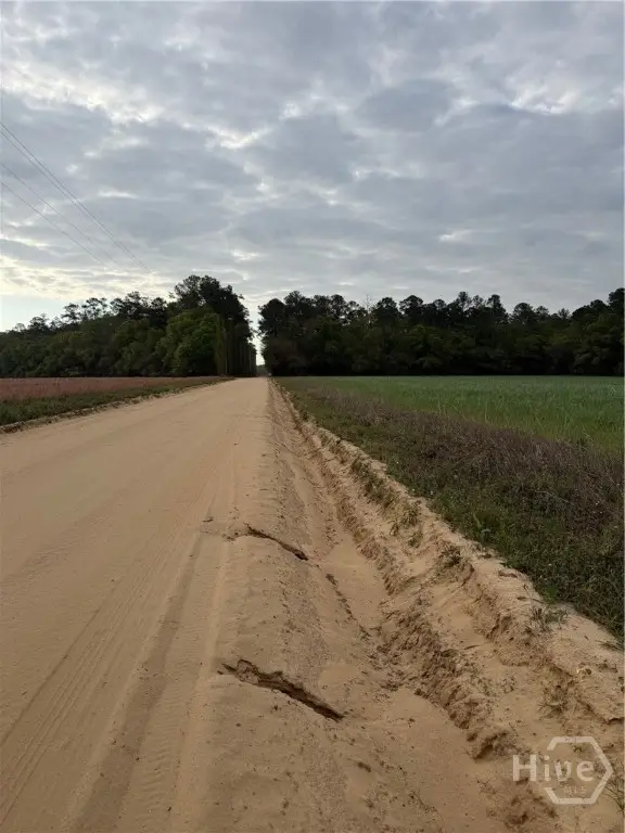 03 Springfield Egypt Road, Springfield, GA 31329 - #2