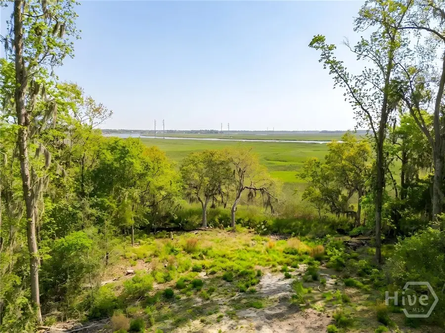 120 Drifton Drive, Savannah, GA 31419 - #2