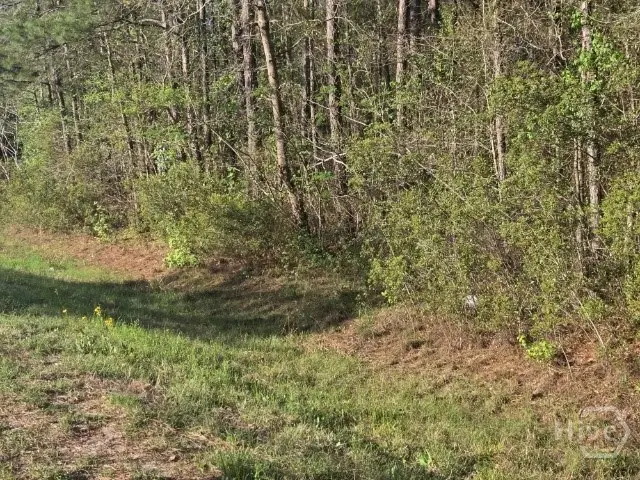 0000 Bill Carter Road, Midway, GA 31320 - #3