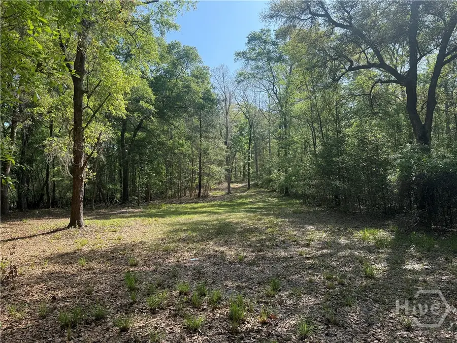 315 High Bluff Road, Rincon, GA 31326 - #3