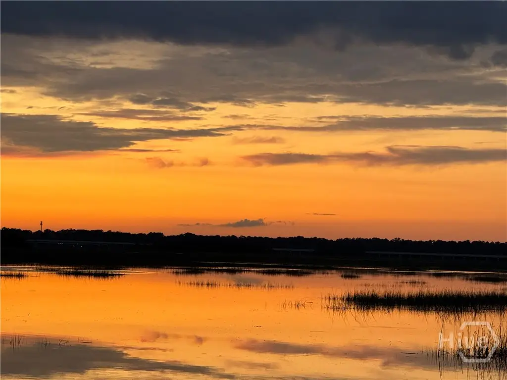 9563 Whitefield Avenue, Savannah, GA 31406 - #1