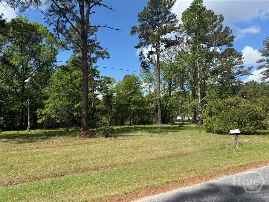 210 Wallace Circle, Bloomingdale, GA 31302 - #3