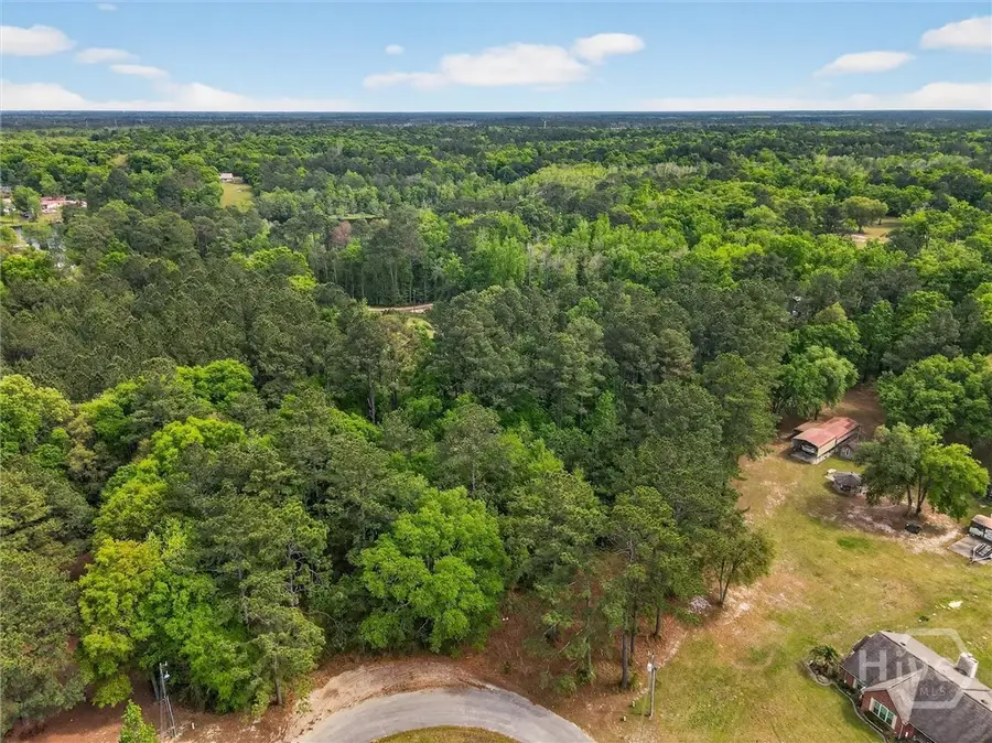 0 Freeman Drive, Ellabell, GA 31308 - #3