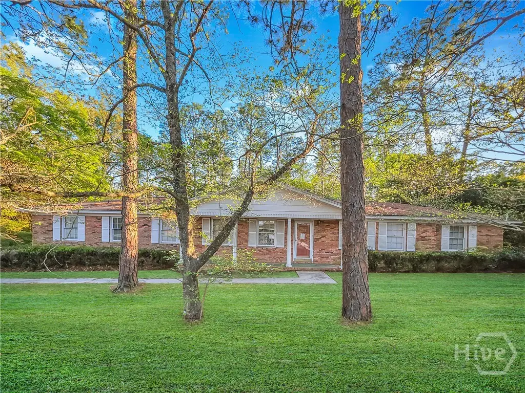 203 Debbie Drive, Statesboro, GA 30458 - #1