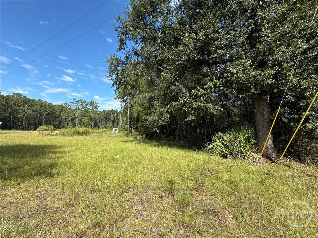 124 Oak Street, Rincon, GA 31326 - #1