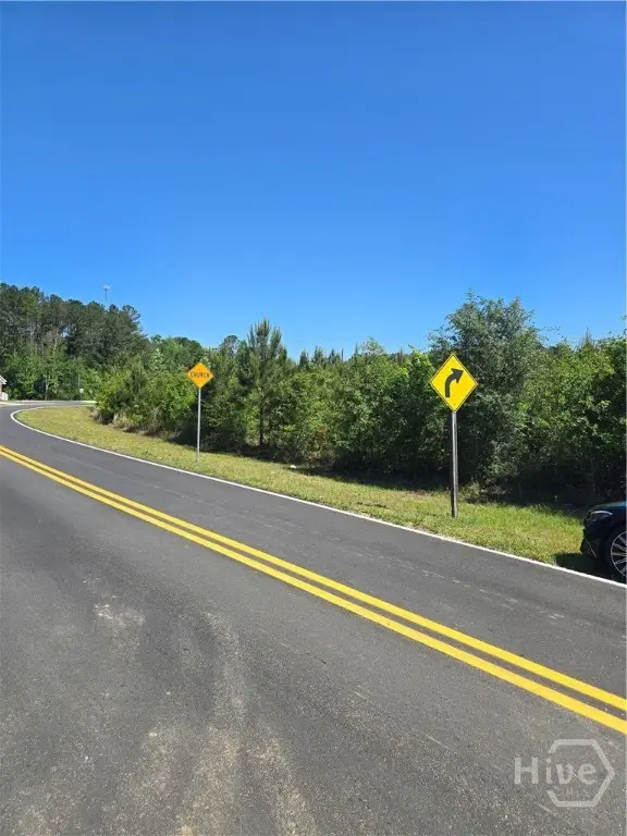 00 Us 280 Highway, Pembroke, GA 31321 - #3