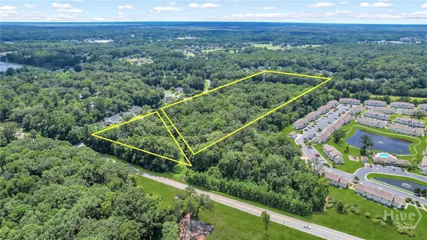 9.73 AC Little Neck Road, Savannah, GA 31419