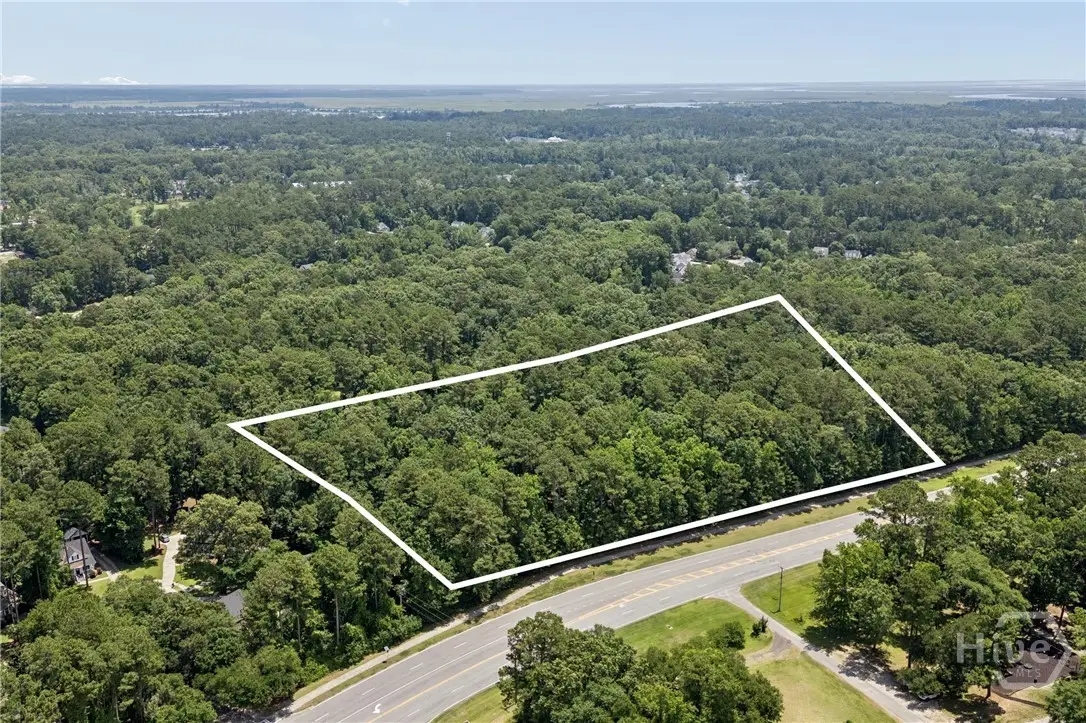0 Harris Trail Road, Richmond Hill, GA 31324 - #1