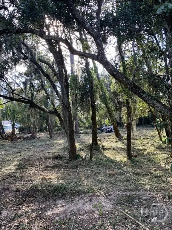 0 Mckenzie Avenue, Tybee Island, GA 31328 - #3