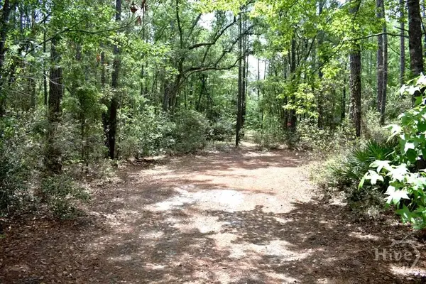 2650 N Hwy 119, Ellabell, GA 31308