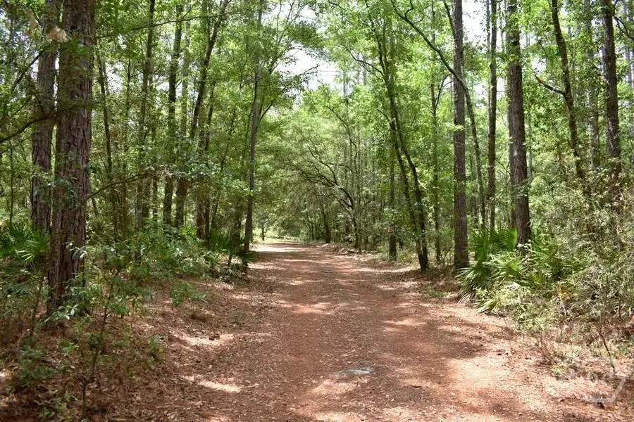 2650 N Hwy 119, Ellabell, GA 31308 - #2