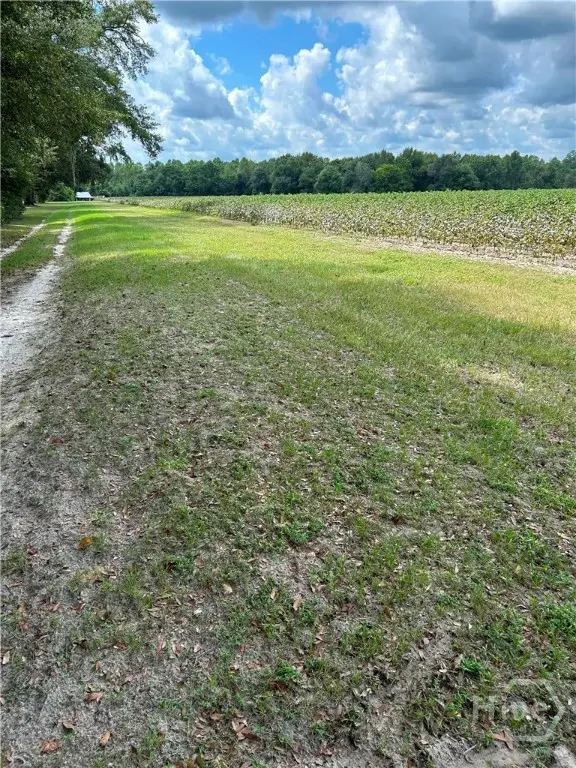 344 Shuman Road, Brooklet, GA 30415 - #2