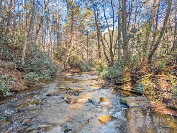 0 Shoal Creek Road, Clarkesville, GA 30523