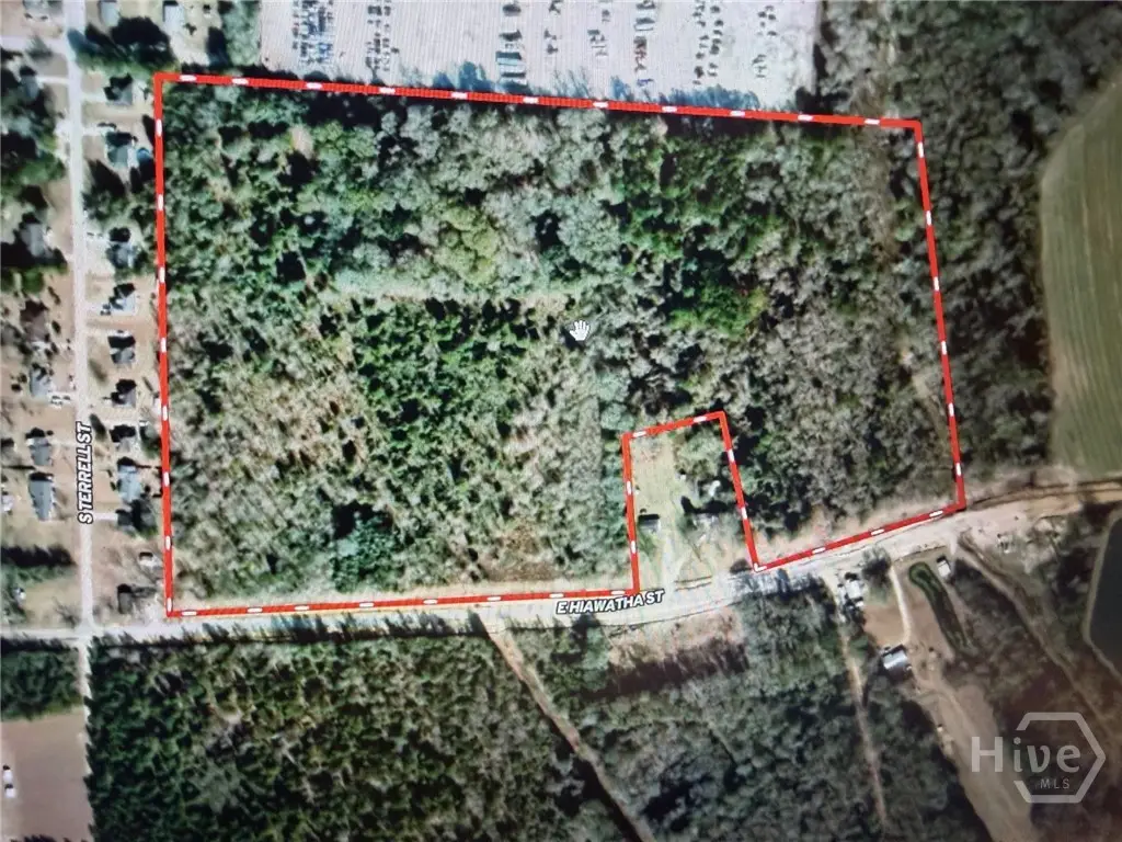 0 Hiawatha St, Metter, GA 30439 - #1