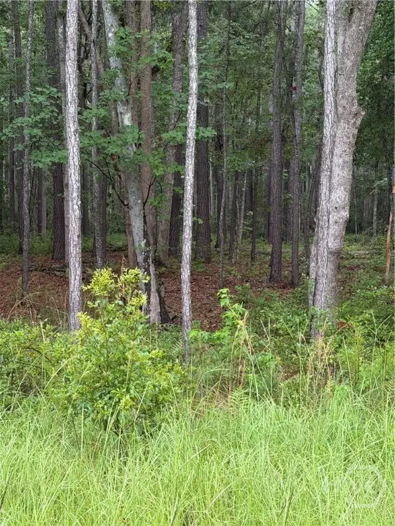 157 Wood Haven Lane, Pooler, GA 31322