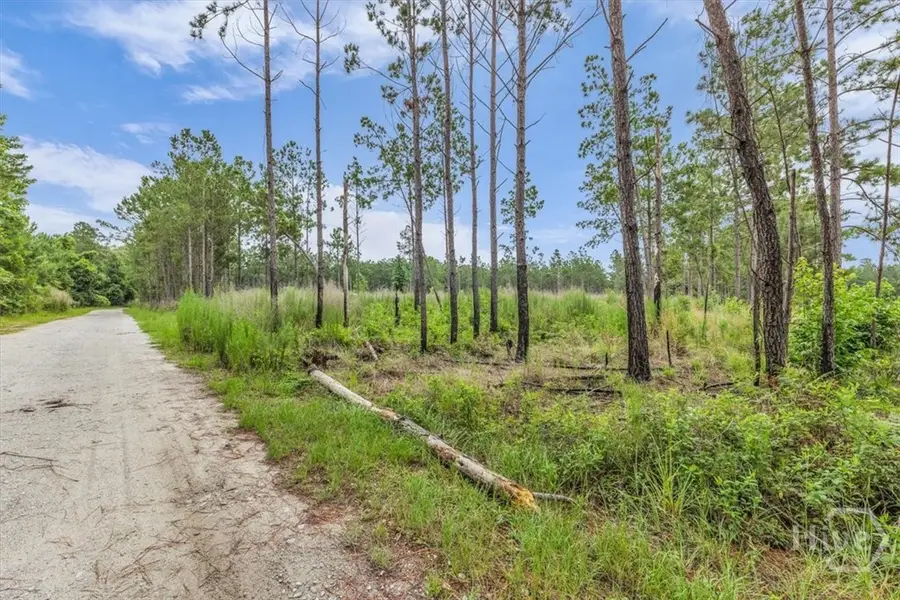 000 Wood Grove Lane, Richmond Hill, GA 31324 - #3