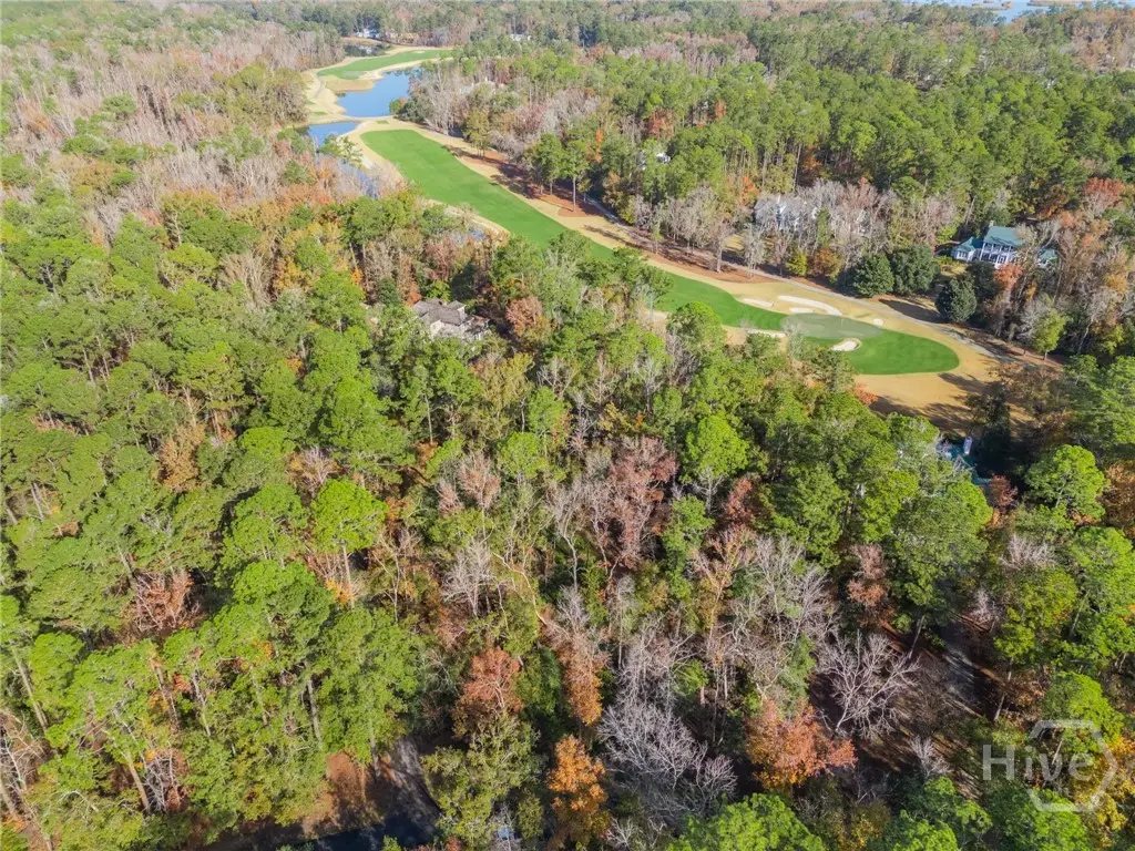 204 Dogwood Way, Richmond Hill, GA 31324 - #1