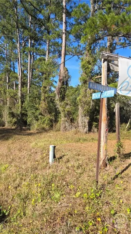 14089 Ga Hwy 251, Darien, GA 31305 - #1